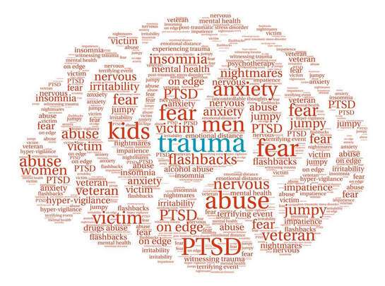 Trauma Brain